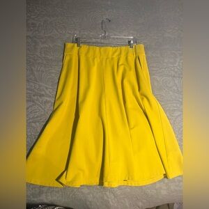 Lane Bryant A-Line Skirt